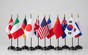 보도자료